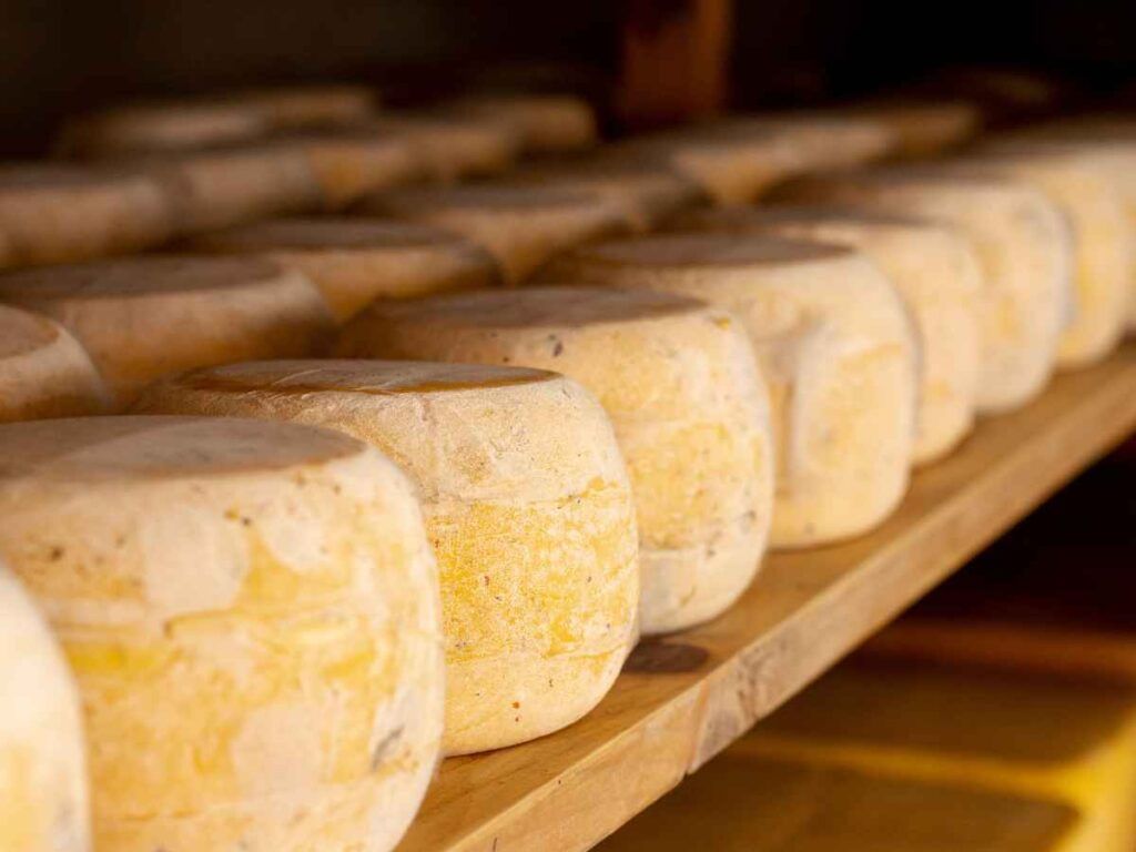 curiosidades del queso
