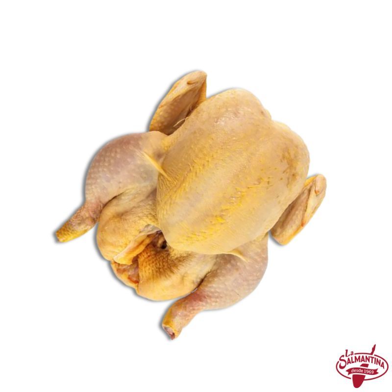 POLLO FRESCO DE CORRAL O CAMPERO