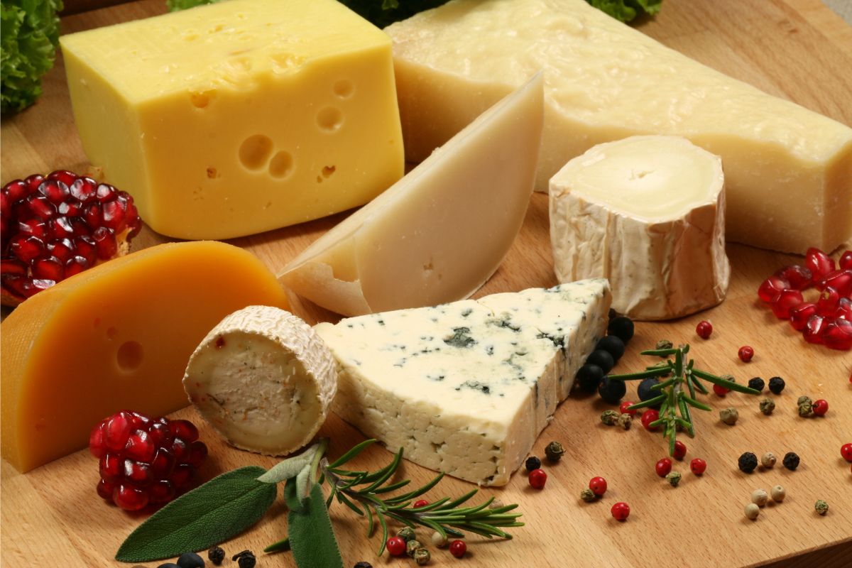 Quesos Gourmet Productos Gourmet